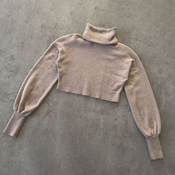 Aritzia Wilfred Rebecca Turtleneck - Picture 4 of 14